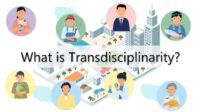 What is Transdisciplinarity?